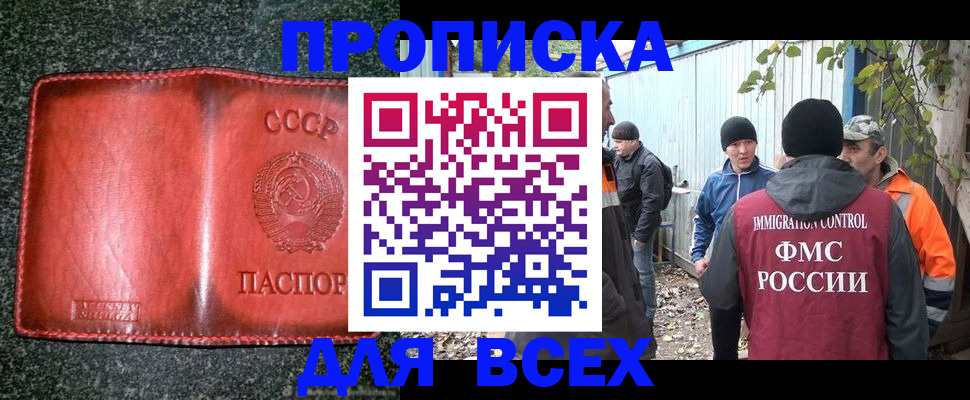 временная регистрация поиск в Снежногорске